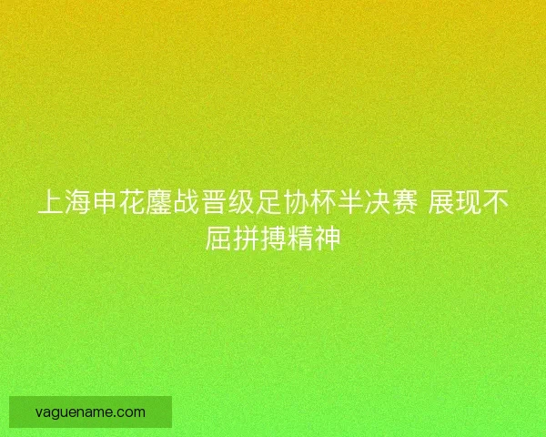 上海申花鏖战晋级足协杯半决赛 展现不屈拼搏精神